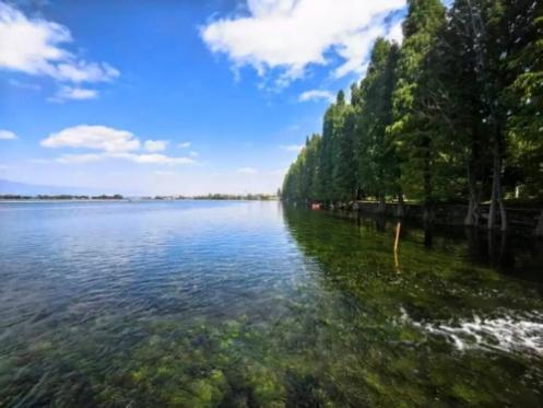 绝了！一汪清水引鱼回，美到出圈还能赚钱丨只此青绿 江山答卷