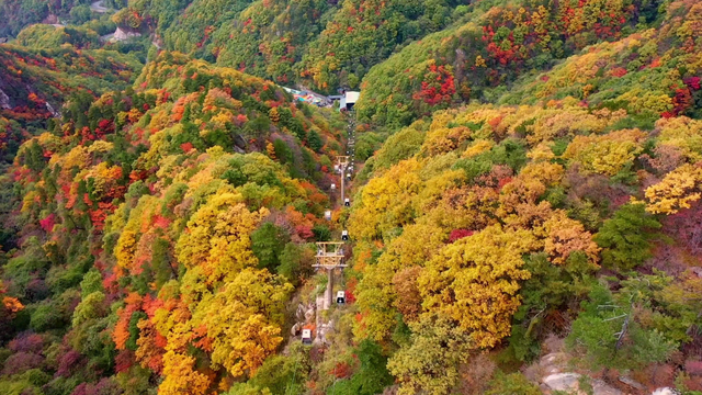 免票半价！河南多景区推出教师专属福利→