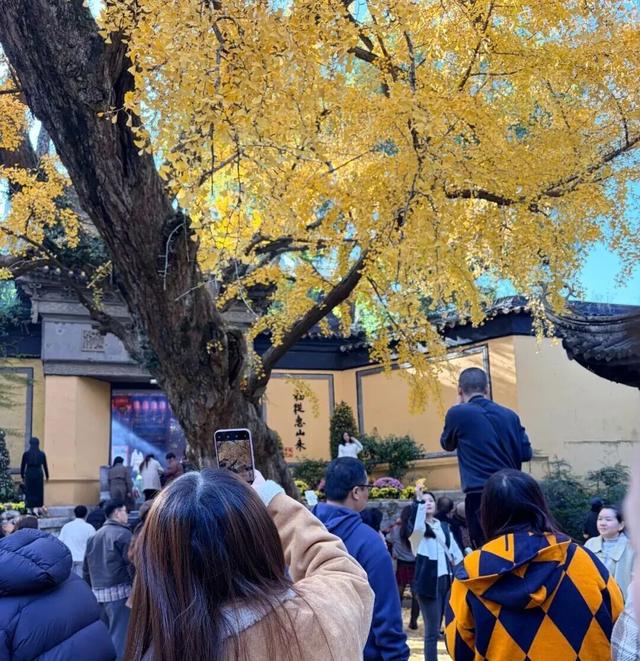 火！火！火！无锡这里被挤爆了！