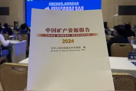 去年我国新发现矿产地124处图片