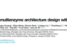 我国科研团队开发人工多酶复合体理性设计工具图片