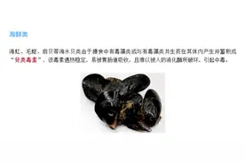 提醒：这种贝类近期别买、别吃！图片