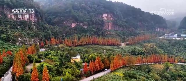 各地解锁秋冬限定美景 一键Get冬日出游新场景新玩法