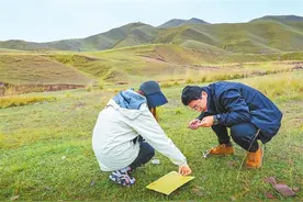 甘肃：保护美丽草原 筑牢生态屏障图片