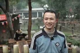 大熊猫“莽灿灿”年夜饭吃九宫格火锅，饲养员：它不放年假，是有编制的大熊猫图片