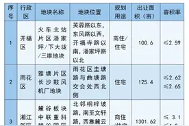 超3000亩！长沙市2025年首批重点推介地块亮相图片