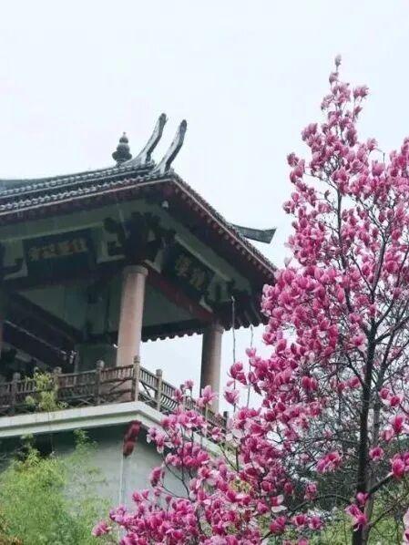 洛阳这些地方值得反复去，反复反复去... ...