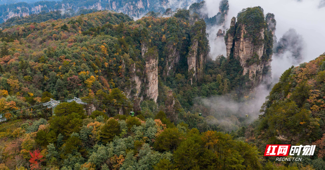 杨家界：峰墙云海织就秘境 地质奇观引游人沉醉