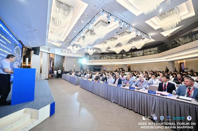 画一张大脑“高清地图”究竟多麻烦？两个月前就“剧透”的联盟今天在上海成立