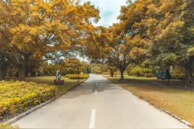 夜读｜比赢更重要的，是输得起图片