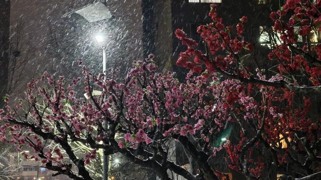 这是2026年昌平的第一场雪！