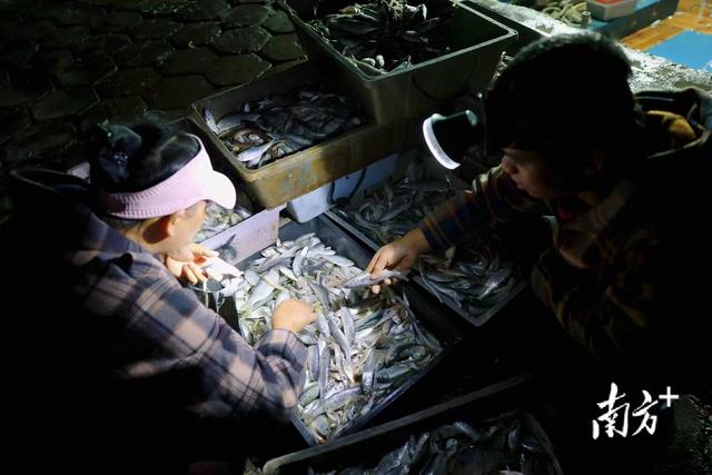 一场赛事搅动海岛产业新格局