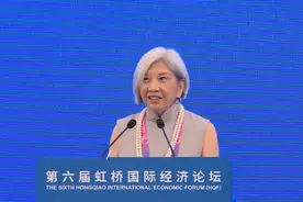 虹桥观点｜溢达集团董事长杨敏德图片