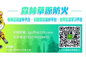 威头条丨悬赏3万元！云南楚雄一镇公开征集森林火情案件线索图片