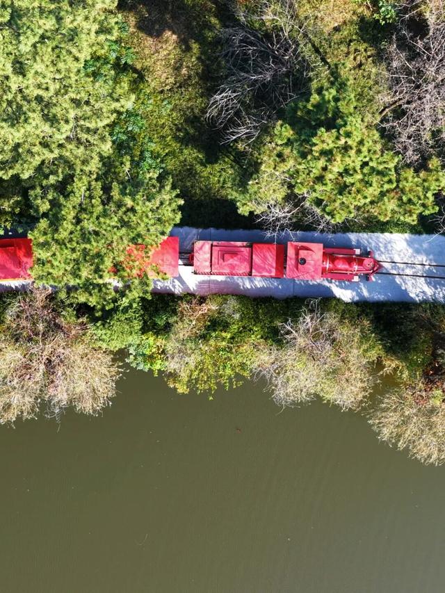 这片焦糖色的“童话森林”，美得藏不住了！