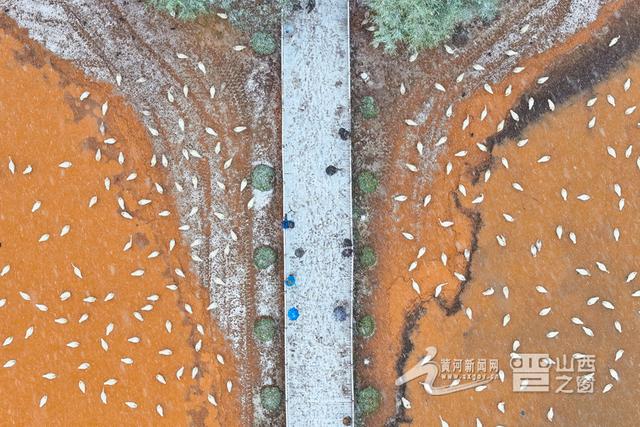 请收好！山西雪景高饱和度震撼大片