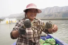 山西黄河大闸蟹“乘坐”高铁，京津等地6小时可达图片