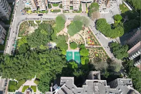 “电鸡”乱停乱放怎么破？广州白云新市街出实招图片