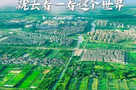 7月29日前报名，崇明这些岗位正在招聘！图片