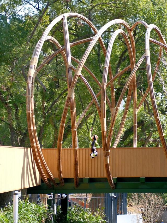 欢迎来到熊猫的家！保姆级攻略请收好！