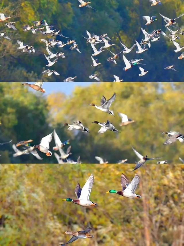 免费食堂！现点现做！