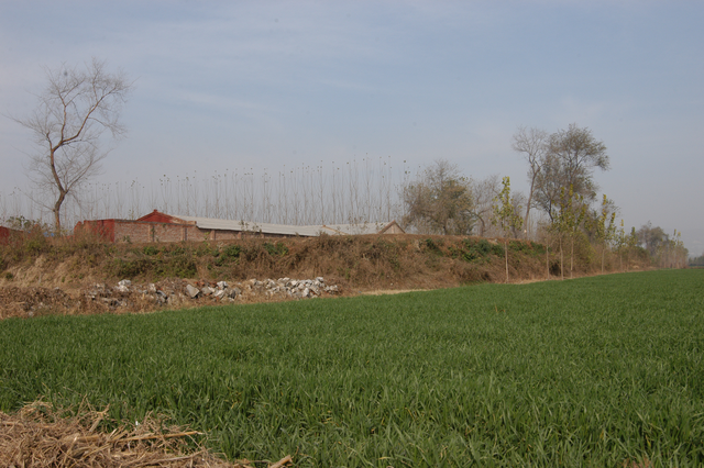 文化遗产耀中原|探访河朔名邦“山阳故城”