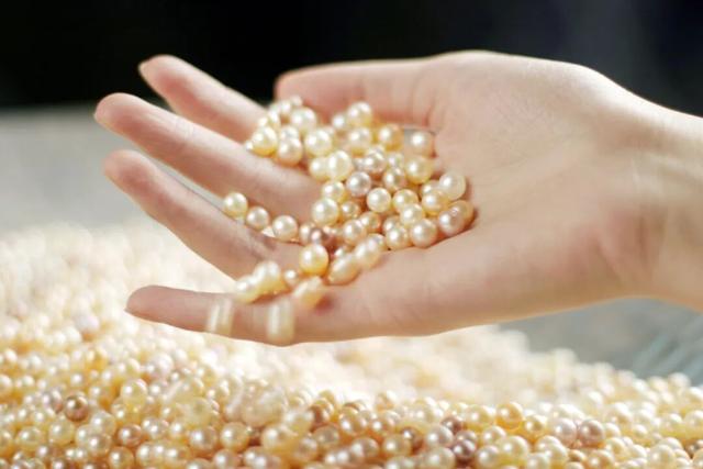 玩转西施跨年音乐节！吃喝玩乐，收藏这篇就够了→