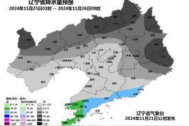 辽宁今冬首场大范围降雪要来了！部分地区大雪、暴雪！沈阳情况→图片