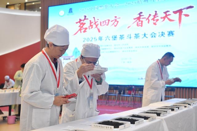 2025中国黑茶大会—2025梧州六堡文化节在广西梧州举办