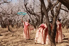 山东临清：以花为媒激活“春日经济”图片