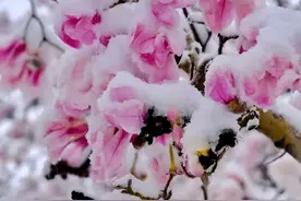 姐就是女王｜一个女人的早餐图片