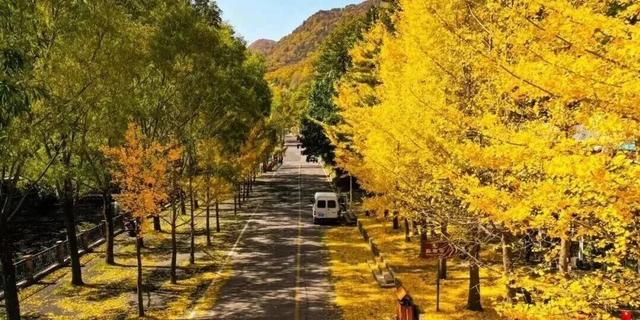 洛阳这些地方值得反复去，反复反复去... ...