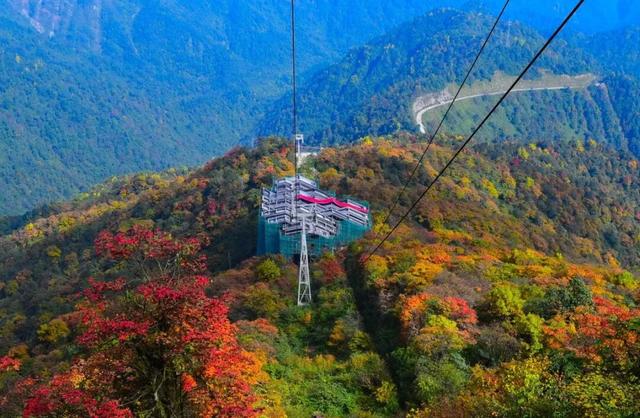速冲瓦屋山！秋季【拉通免门票】！金秋彩林+秋季限定奖牌+小熊猫奇遇，一样都不少！