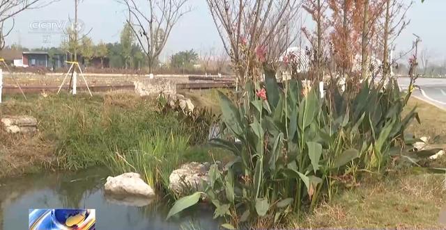 “300米见绿，500米见园” 成都打造长效发展“千园之城”