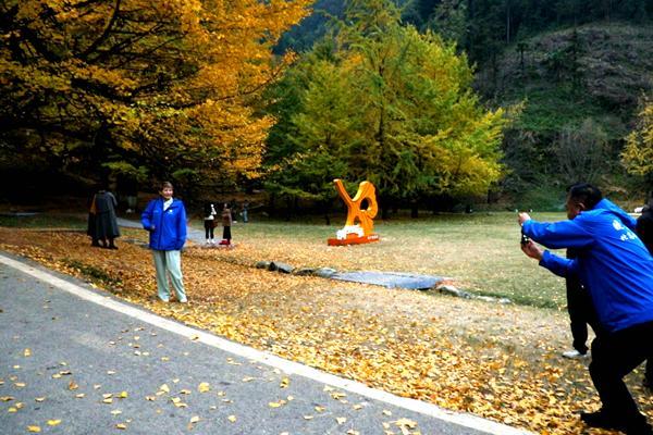 高铁连京永湘超引客来|北京企业家打卡双牌桐子坳共探合作新机遇