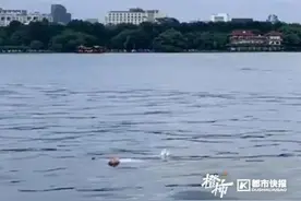 热闻|女子落水后躺平式自救，夏季不慎落水还有哪些自救方法？图片