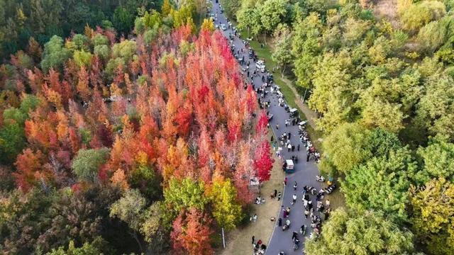 听说周末的石门坊挤爆了？哎，我有一计！