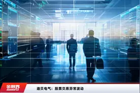 迪贝电气：股票交易异常波动视频封面