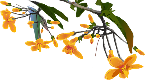 “乐游无锡”新功能上线！