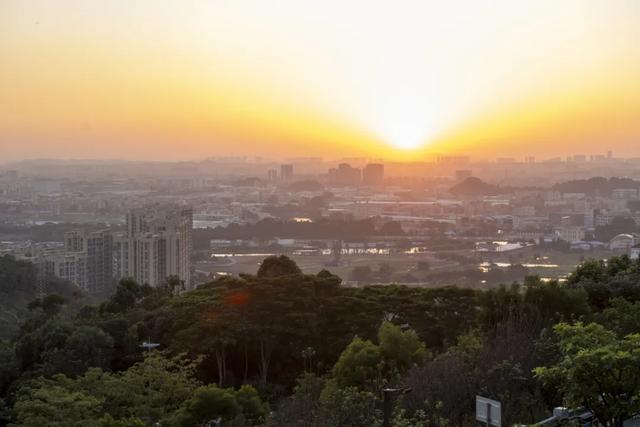 免门票!里水登高首选!3条赏秋路线→