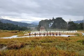 到“元阳梯田” 体验哈尼族丰收喜悦图片