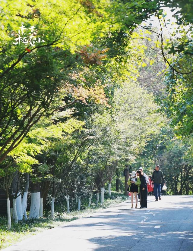 重阳登高栖霞山！玩心不“老”很嗨皮~