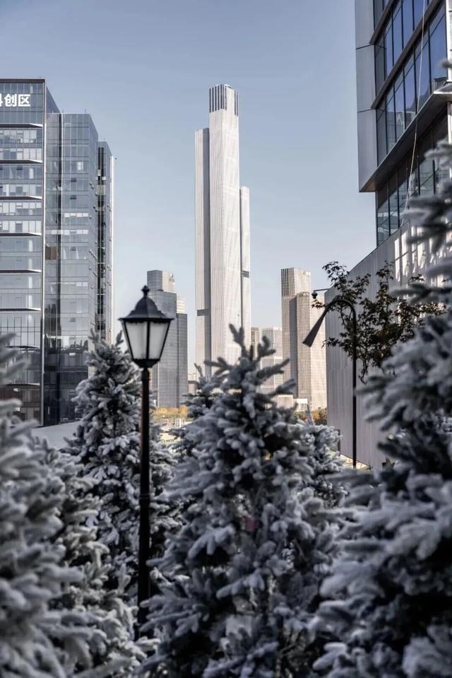 “飘雪”一个月！南京这里刷屏了