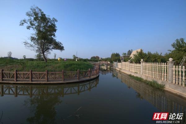 秋游时刻丨在安乡县关保村，步入田园诗画里