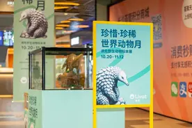 保护动物，他们在行动图片