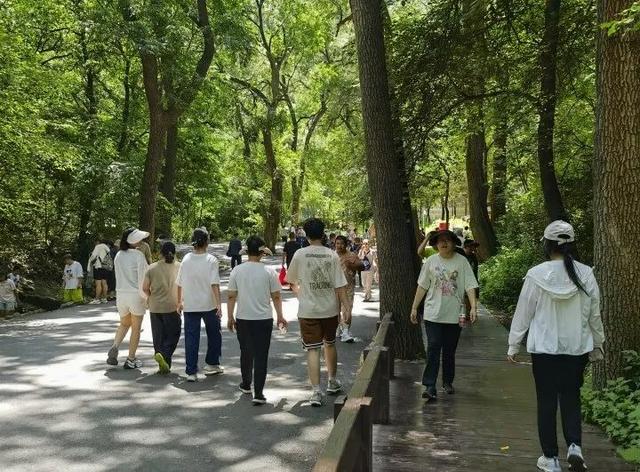 人气旺！鞍山夏日旅游市场热力全开