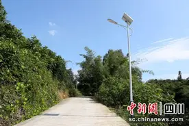 泸州纳溪：200盏路灯照亮乡村“幸福路”图片