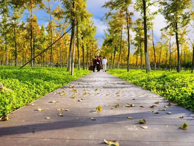 秋风引路入曲江，芙蓉金叶映红墙