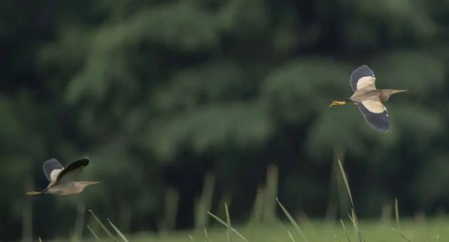 无锡最新追“星”指南，速收藏！