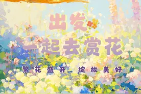 春上山东·青岛篇丨准备好了吗？2024版追花地图上线图片